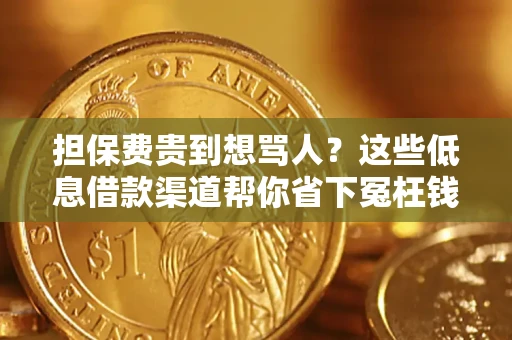 武汉担保费贵到想骂人？这些低息借款渠道帮你省下冤枉钱