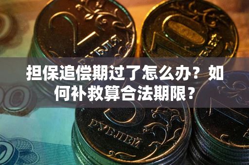武汉担保追偿期过了怎么办？如何补救算合法期限？