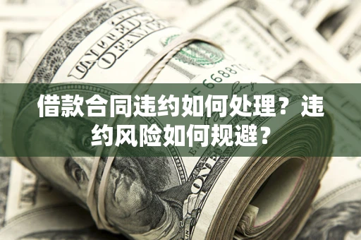 武汉借款合同违约如何处理？违约风险如何规避？