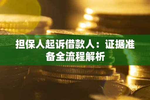 武汉担保人起诉借款人：证据准备全流程解析