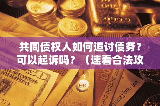 武汉共同债权人如何追讨债务？可以起诉吗？（速看合法攻略）