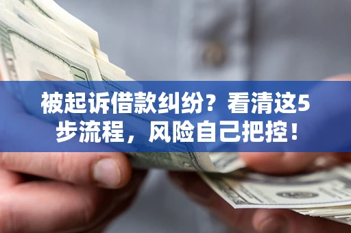 武汉被起诉借款纠纷？看清这5步流程，风险自己把控！